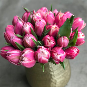 dutch tulips
