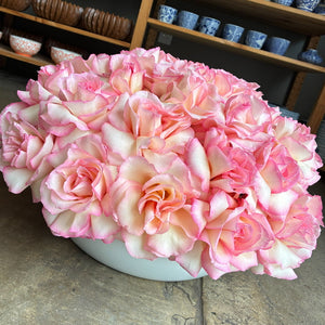 the reflexed rose – park cities petals