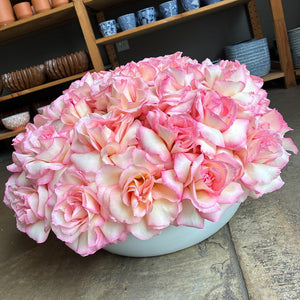 the reflexed rose – park cities petals