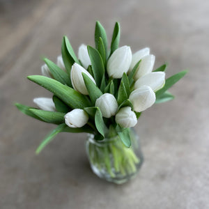 
            
                Load image into Gallery viewer, dutch tulips
            
        