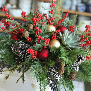 the holiday succulent mix