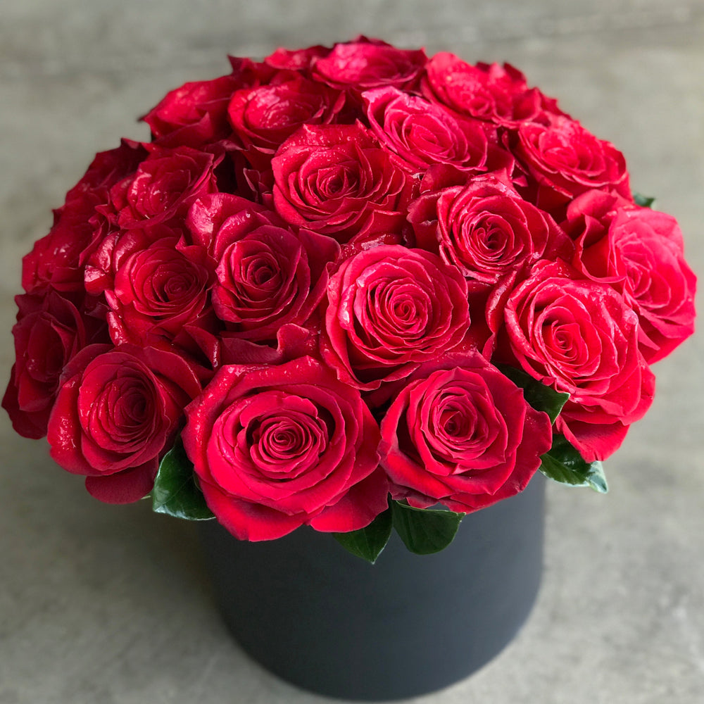 valentine's day roses