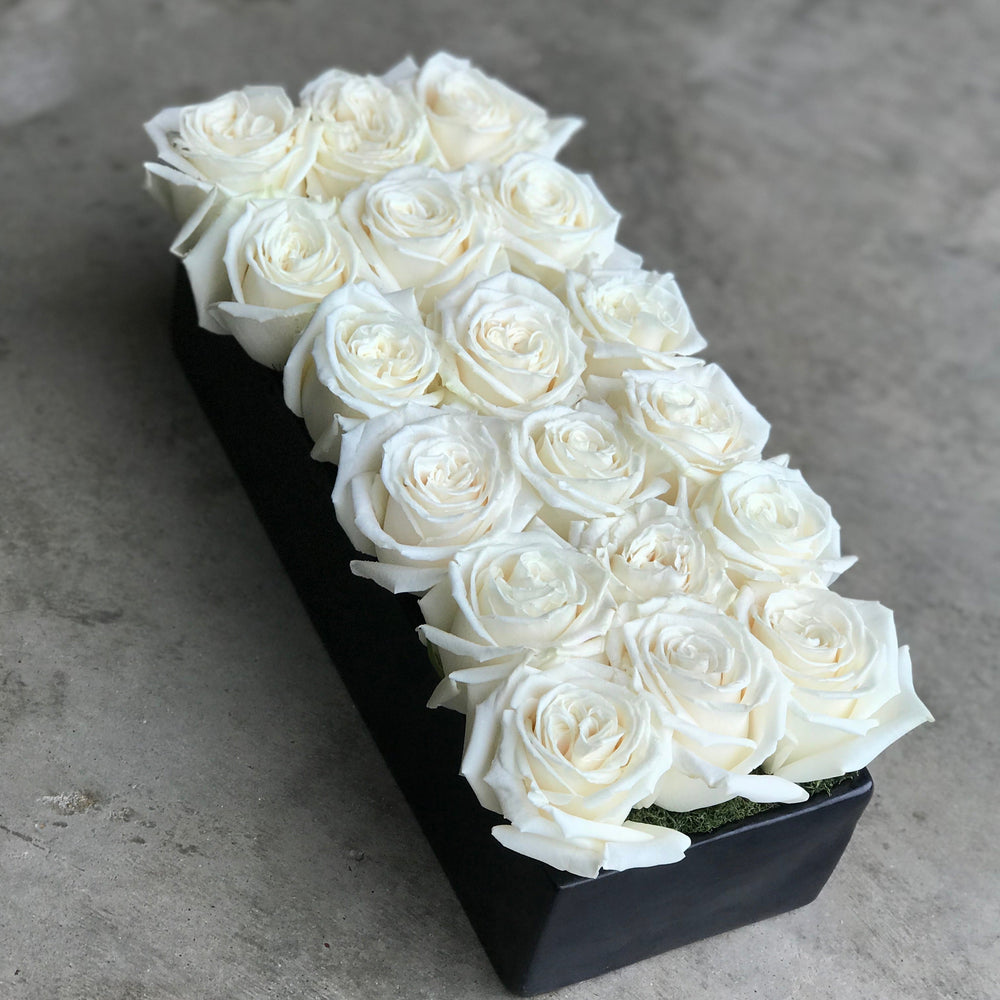 valentine's day modern rose