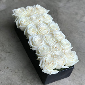 valentine's day modern rose