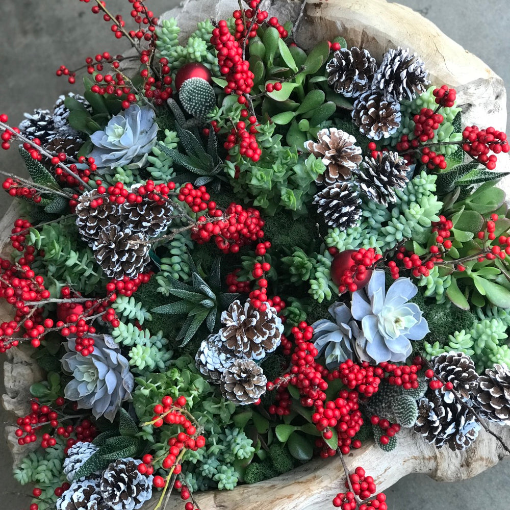 the holiday succulent mix