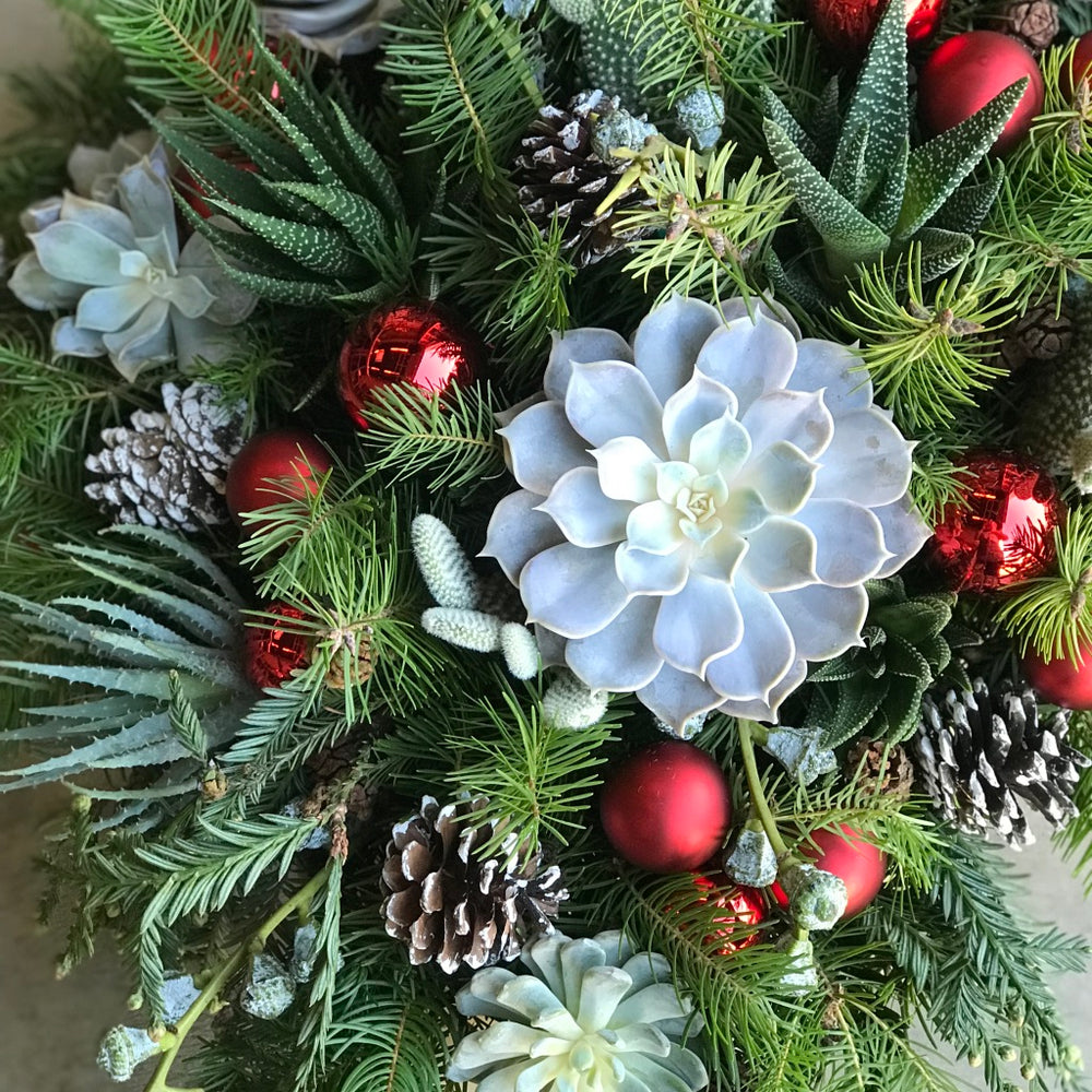 the holiday succulent mix