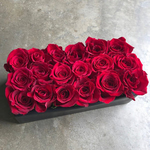 valentine's day modern rose